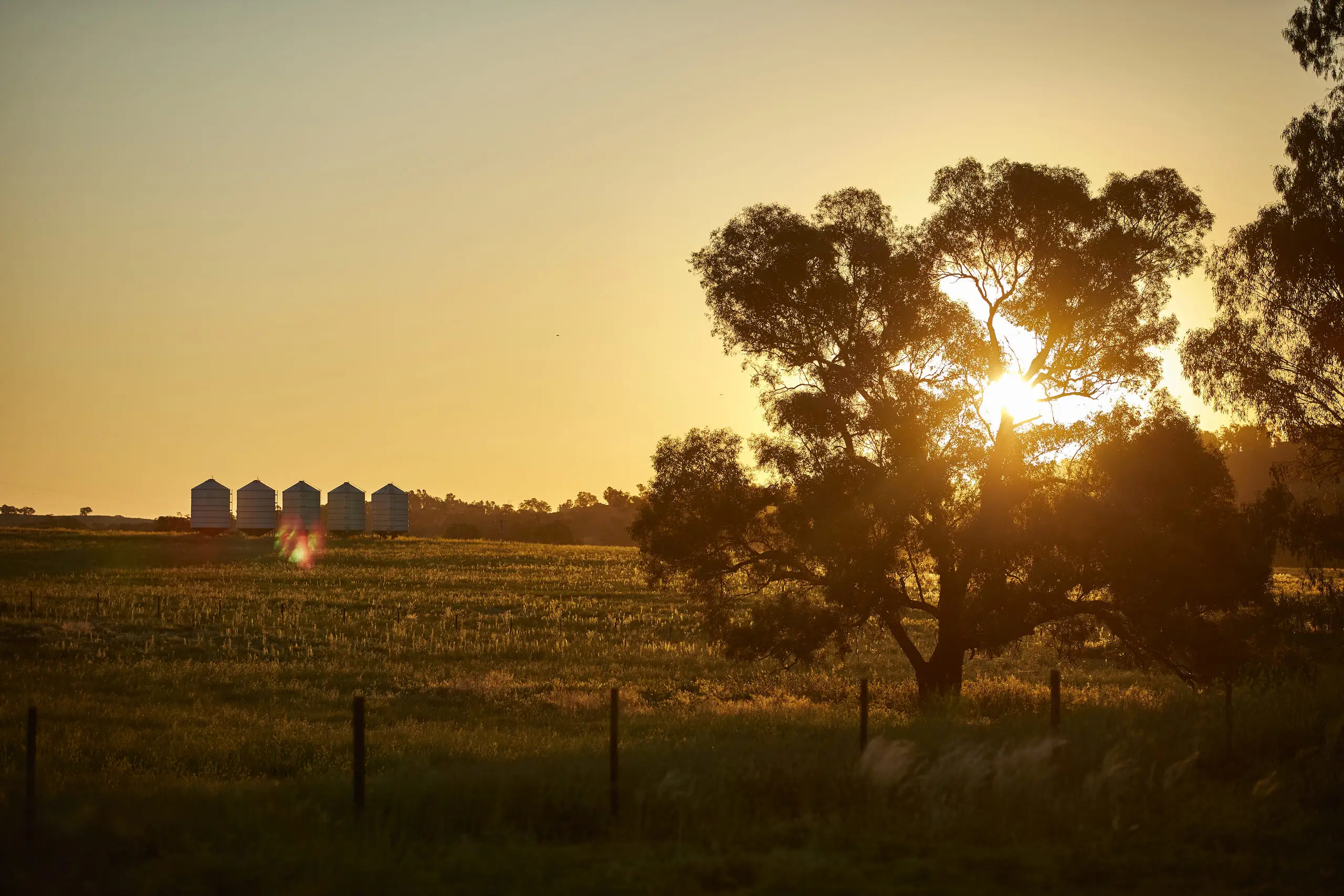 Grain storage silos at twilight